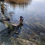 U Machova Jezera * Doksy (Liberec)